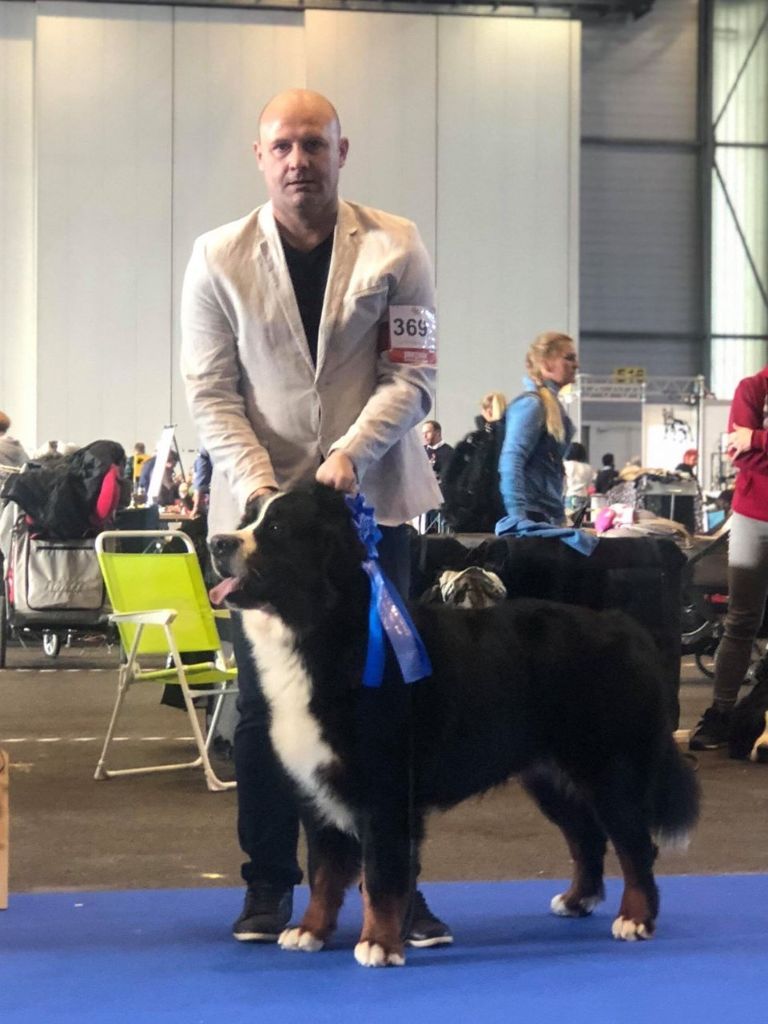 Du Loup Endormi - GENEVE DOG SHOW 09 et 10-11-2018 (Suisse)