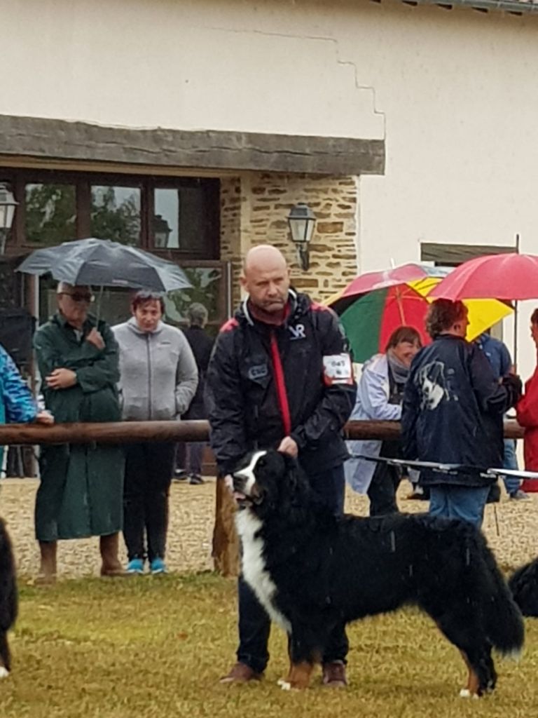 Du Loup Endormi - 22-09-2019 RE Limousin