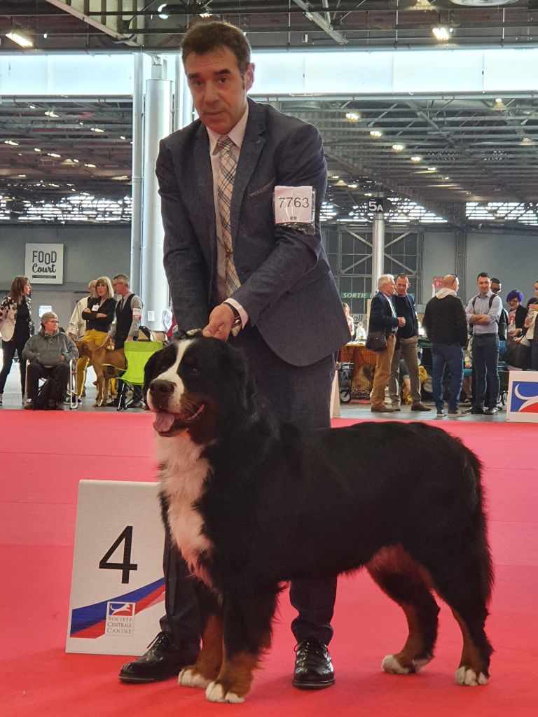 Du Loup Endormi - 24-04-2022 Eutopean Dog  Show