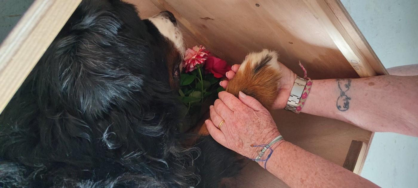 Mon Léo est parti .