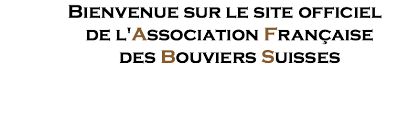 A.F.B.S. Association Française de Bouviers Suisses